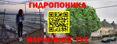 крисы Обнинск