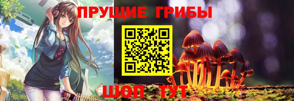 Сызрань  Галлюциногенные грибы GOLDEN TEACHER  Вход с VPN 